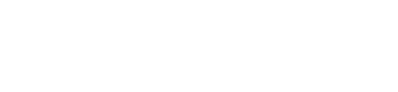 platin casino logo white